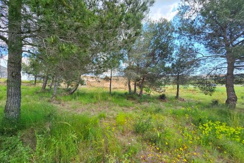 Finca i Teulada, Alicante, Teulada - € 870.000 | Ref: finca teulada-gata - foto 43
