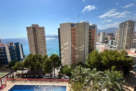 Lejlighed i Benidorm, Alicante, Benidorm - € 375.000 | Ref: F1411/6084 - foto 13
