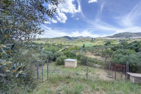 Cortijo i Monda, Malaga, Monda - € 349.000 | Ref: R5407249 - foto 35