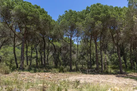 Villa a Platja D'aro, Gerona, Platja D'aro - € 1.875.000 | Ref: P0347V - foto 23