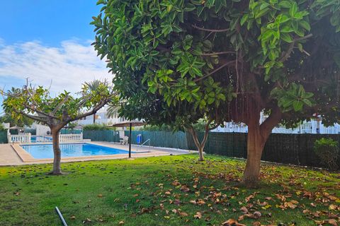 Leilighet i Torrevieja, Alicante, Torrevieja - € 119 000 | Ref: CLDZCJ-61814 - foto 40