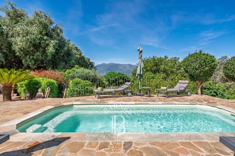 Villa i Saint-Florent, Haute-Corse, Saint-Florent - € 1 100 000 | Ref: RV2220 - foto 3