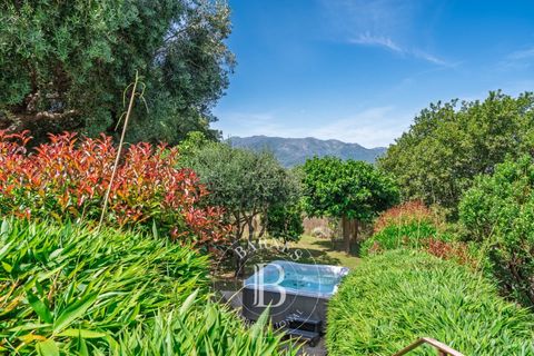 Villa i Saint-Florent, Haute-Corse, Saint-Florent - € 1 100 000 | Ref: RV2220 - foto 21