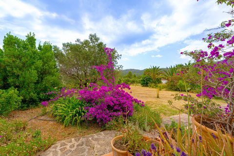 Villa i Jalon, Alicante, Jalon - € 879.000 | Ref: DG6740/4038 - foto 42