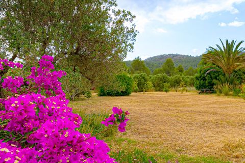 Villa i Jalon, Alicante, Jalon - € 879.000 | Ref: DG6740/4038 - foto 44