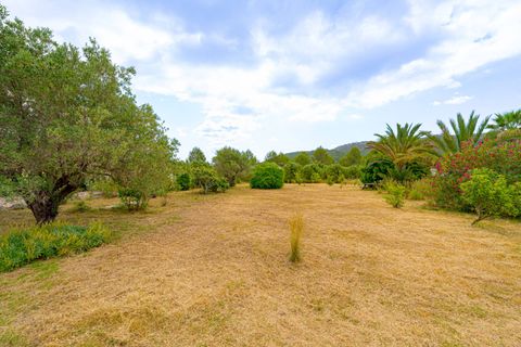 Villa i Jalon, Alicante, Jalon - € 879.000 | Ref: DG6740/4038 - foto 45