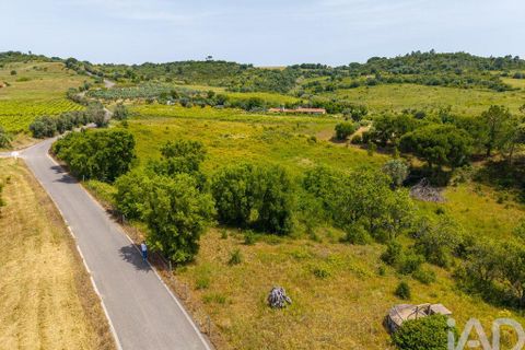 Farm i Azambuja, Lisbon, Azambuja - € 460.000 | Ref: 936499 - foto 3