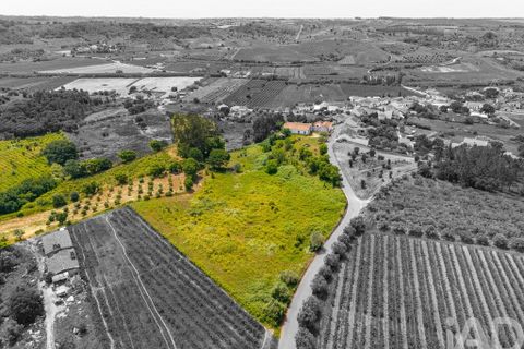 Farm i Azambuja, Lisbon, Azambuja - € 460.000 | Ref: 936499 - foto 6