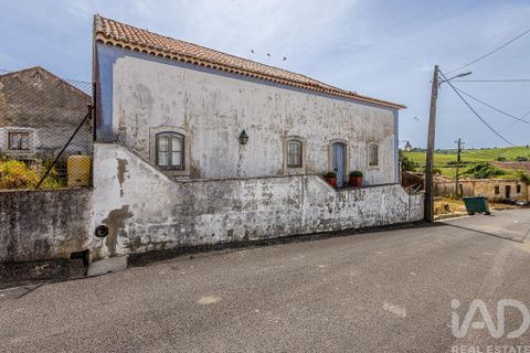 Farm i Azambuja, Lisbon, Azambuja - € 460.000 | Ref: 936499 - foto 40