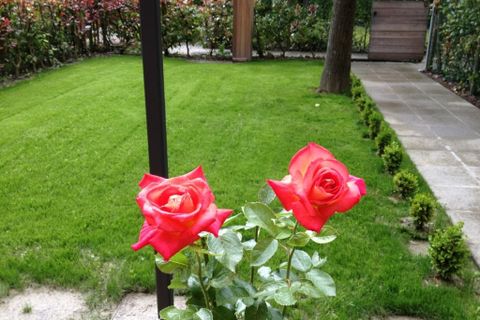 Villa a Crevalcore, Bologna, Crevalcore - € 460.000 | Ref: es5555080 - foto 9