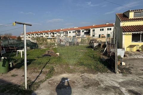 Villa i Alcobaca, Leiria, Alcobaca - € 550.000 | Ref: 120611977-100 - foto 3