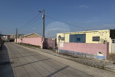 Villa i Alcobaca, Leiria, Alcobaca - € 550.000 | Ref: 120611977-100 - foto 11