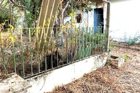 Farm hus i Coruche, Santarem, Coruche - € 99.000 | Ref: 120611246-369 - foto 6