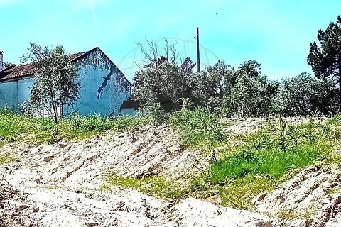 Farm hus i Coruche, Santarem, Coruche - € 99.000 | Ref: 120611246-369 - foto 8