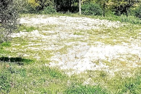 Farm hus i Coruche, Santarem, Coruche - € 99.000 | Ref: 120611246-369 - foto 9