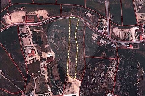 Farm hus i Coruche, Santarem, Coruche - € 99.000 | Ref: 120611246-369 - foto 11