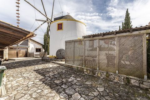 Villa i Alcobaca, Leiria, Alcobaca - € 895.000 | Ref: 120612669-36 - foto 2