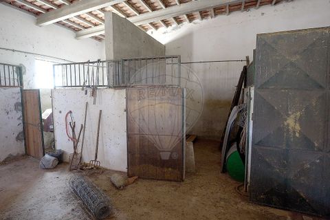 Farm hus i Alenquer, Lisbon, Alenquer - € 575.000 | Ref: 120611217-566 - foto 19