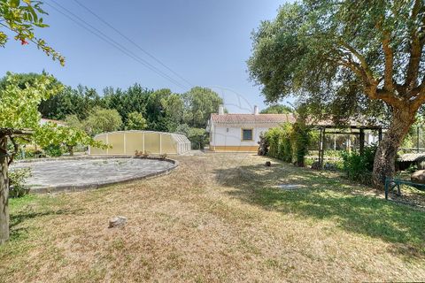 Villa a Benavente, Santarem, Benavente - € 645.000 | Ref: 120611304-1012 - foto 4