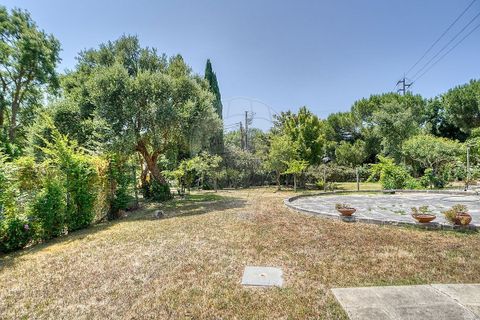 Villa a Benavente, Santarem, Benavente - € 645.000 | Ref: 120611304-1012 - foto 5