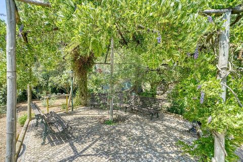 Villa a Benavente, Santarem, Benavente - € 645.000 | Ref: 120611304-1012 - foto 9