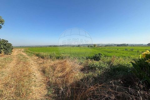 Farm hus i Coruche, Santarem, Coruche - € 660.000 | Ref: 120612854-8 - foto 2