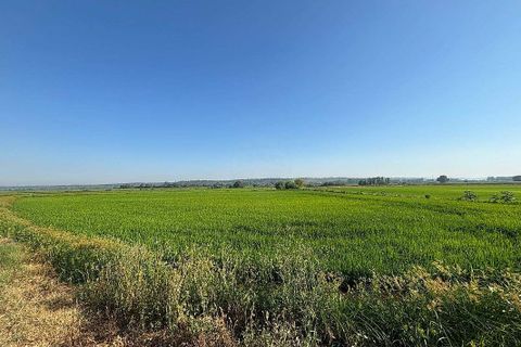 Farm hus i Coruche, Santarem, Coruche - € 660.000 | Ref: 120612854-8 - foto 3
