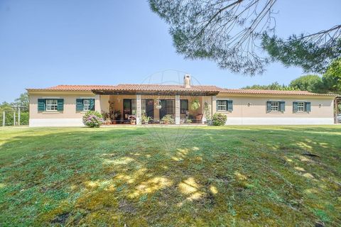 Villa a Benavente, Santarem, Benavente - € 945.000 | Ref: 120611304-1001 - foto 13