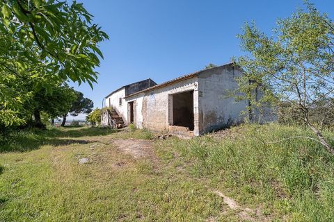 Farm hus i Evora, Evora, Evora - € 790.000 | Ref: 120612854-3 - foto 8