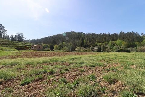 Farm hus i Arganil, Coimbra, Arganil - € 160.000 | Ref: 120612091-162 - foto 3