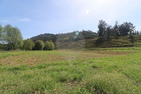 Farm hus i Arganil, Coimbra, Arganil - € 160.000 | Ref: 120612091-162 - foto 4