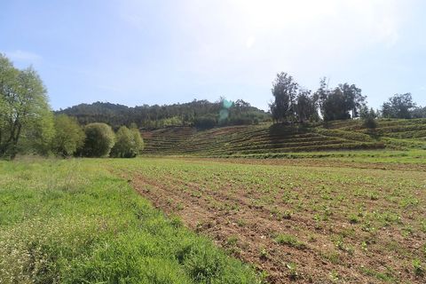 Farm hus i Arganil, Coimbra, Arganil - € 160.000 | Ref: 120612091-162 - foto 6