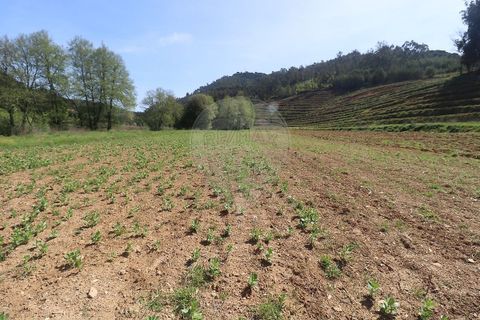 Farm hus i Arganil, Coimbra, Arganil - € 160.000 | Ref: 120612091-162 - foto 7