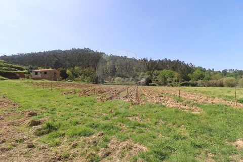Farm hus i Arganil, Coimbra, Arganil - € 160.000 | Ref: 120612091-162 - foto 8