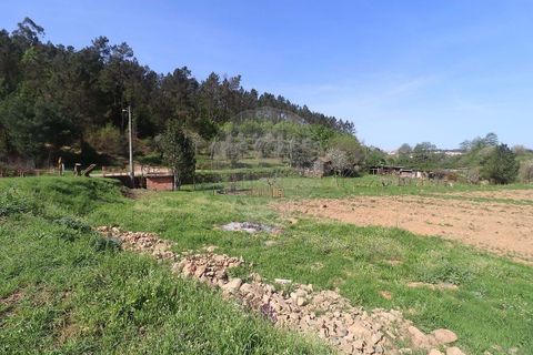 Farm hus i Arganil, Coimbra, Arganil - € 160.000 | Ref: 120612091-162 - foto 18
