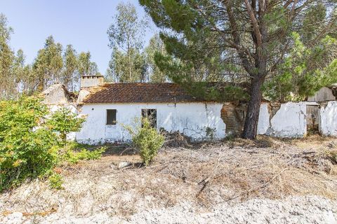 Villa a Coruche, Santarem, Coruche - € 120.000 | Ref: 120611304-972 - foto 2