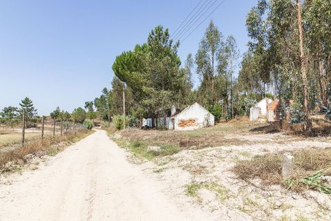 Villa a Coruche, Santarem, Coruche - € 120.000 | Ref: 120611304-972 - foto 3