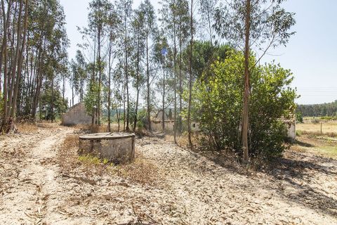 Villa a Coruche, Santarem, Coruche - € 120.000 | Ref: 120611304-972 - foto 6