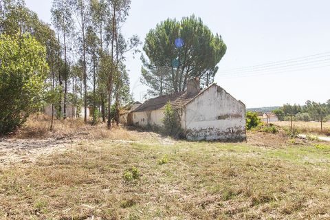 Villa a Coruche, Santarem, Coruche - € 120.000 | Ref: 120611304-972 - foto 7