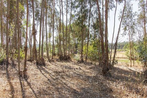 Villa a Coruche, Santarem, Coruche - € 120.000 | Ref: 120611304-972 - foto 8