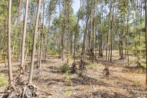 Villa a Coruche, Santarem, Coruche - € 120.000 | Ref: 120611304-972 - foto 9