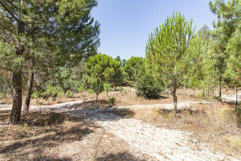 Villa a Coruche, Santarem, Coruche - € 120.000 | Ref: 120611304-972 - foto 10