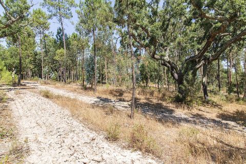 Villa a Coruche, Santarem, Coruche - € 120.000 | Ref: 120611304-972 - foto 11