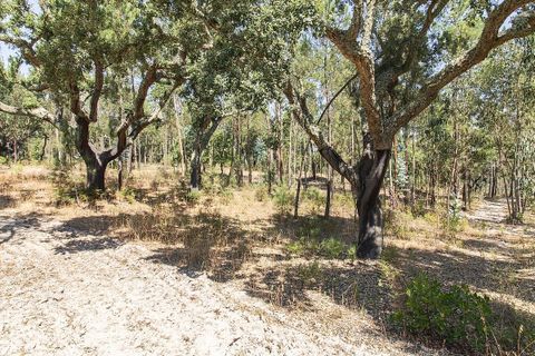 Villa a Coruche, Santarem, Coruche - € 120.000 | Ref: 120611304-972 - foto 12