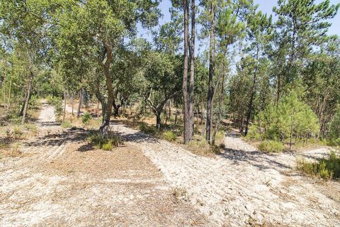 Villa a Coruche, Santarem, Coruche - € 120.000 | Ref: 120611304-972 - foto 13