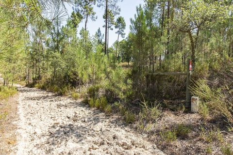 Villa a Coruche, Santarem, Coruche - € 120.000 | Ref: 120611304-972 - foto 14