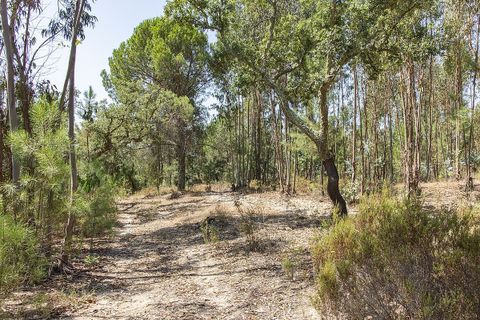 Villa a Coruche, Santarem, Coruche - € 120.000 | Ref: 120611304-972 - foto 15