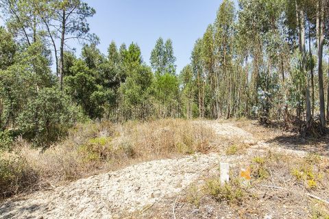 Villa a Coruche, Santarem, Coruche - € 120.000 | Ref: 120611304-972 - foto 16