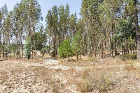 Villa a Coruche, Santarem, Coruche - € 120.000 | Ref: 120611304-972 - foto 17