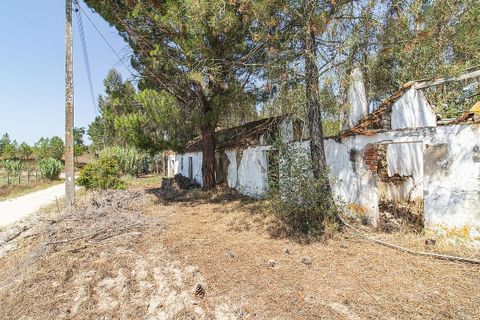 Villa a Coruche, Santarem, Coruche - € 120.000 | Ref: 120611304-972 - foto 18